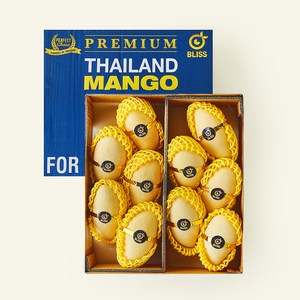 이웃마을 태국산 망고, 2.9kg(10~1..., 1개