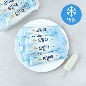 요맘때 바 플레인 (냉동)