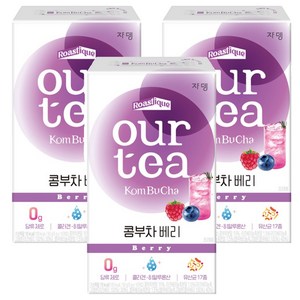 쟈뎅 아워티 콤부차 베리