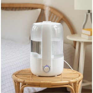 홈플래닛 손쉬운 통세척 플로우 미스트 초음파 가습기 4.1L