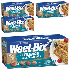 위트빅스 멀티그레인, 575g, 4개