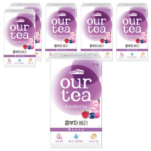 쟈뎅 아워티 콤부차 베리