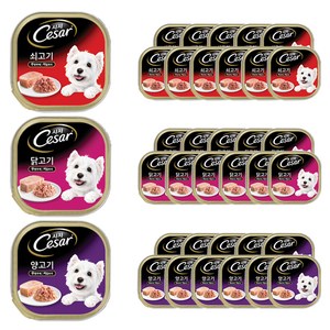 시저 1세 이상 강아지 베스트 버라이어티팩 주식캔, 혼합맛, 100g, 36개