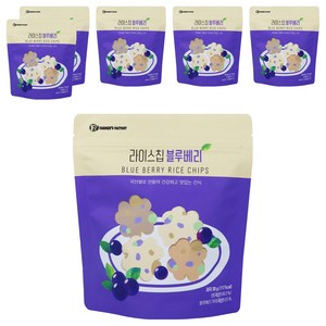 블루베리 라이스칩, 30g, 6개