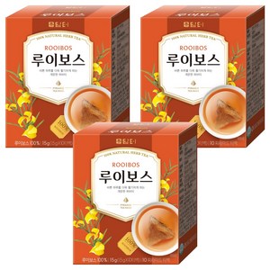 담터 삼각티백 루이보스 차
