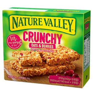 네이처밸리 크런치 오츠 앤 베리 바, 210g, 1개