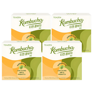 티젠 콤부차 매실