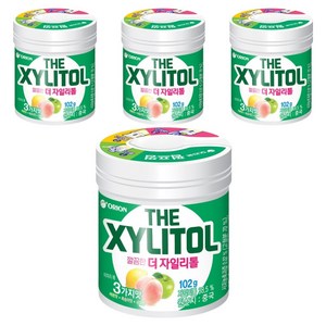 오리온 깔끔한 더 자일리톨, 102g, 4개