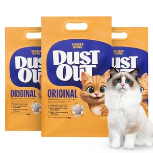 쉬즈곤 먼지아웃 벤토나이트 고양이 모래, 6kg, 무향, 3개