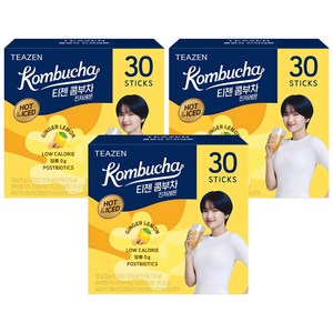 티젠 콤부차 진저레몬