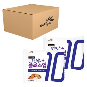 넛츠피아 텐믹스 플러스업 혼합 하루견과, 60개