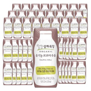 상하목장 유기농 코코아 우유 125ml, 48개