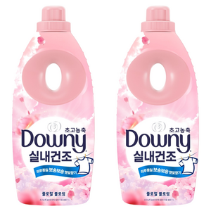 다우니 실내건조 초고농축 섬유유연제 플로럴 블로썸 본품, 1L, 2개