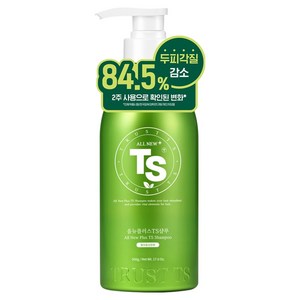 TS 올뉴 플러스 티에스 샴푸, 500g, 1개