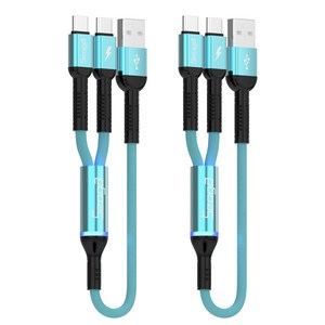 서가 메탈 C타입 2in1 멀티 고속충전 케이블