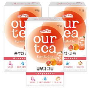 아워티 콤부차 자몽