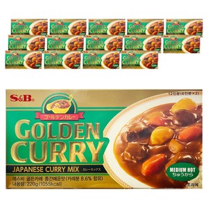 에스앤비골든 카레 중간 매운맛, 220g, 15개