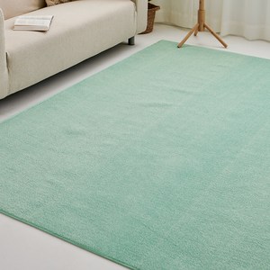 모두의러그 데일리 극세사 단모 거실 러그