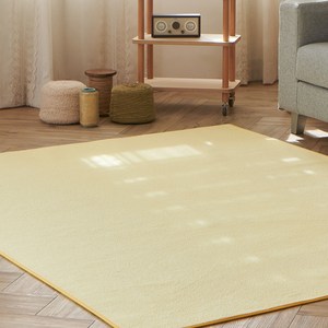 모두의러그 데일리 극세사 단모 거실 러그