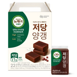 뉴케어 정품 당플랜 저당양갱 22p, 880g, 1개