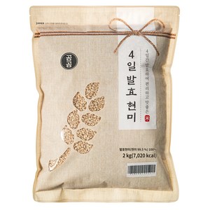 곰곰 4일 발효 현미 2kg, 2kg, 1개