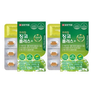 일양약품 프라임 징코 플러스, 30정, 2개