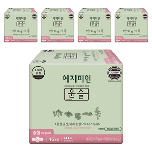 예지미인 윤슬 순한 생리대 날개형, 중형, 16개입, 5개