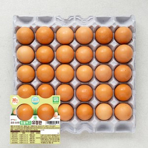 곰곰 신선한 동물복지 유정란 30구, 30구, 1개