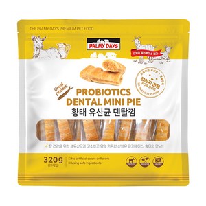 파미데이즈 강아지 밀키베이스 황태 유산균 덴탈껌, 황태맛, 320g, 1개