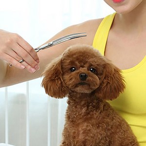 제스파 퍼피스 반려동물 커브가위 18cm ZPC70BK2