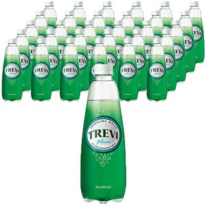 트레비 플레인, 500ml, 40개