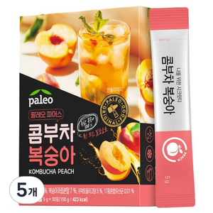 팔레오 콤부차 복숭아