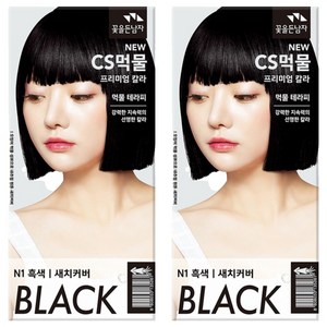 꽃을든남자 CS 먹물 헤어칼라 염모제, N1흑색, 2개