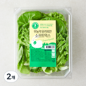 그린래빗 무농약 인증 유러피안 소프트믹스 샐러드, 100g, 2개