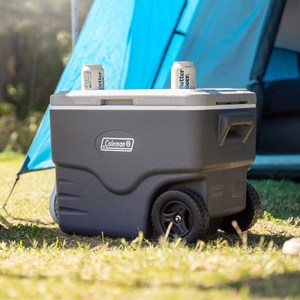 콜맨 휠 하드쿨러