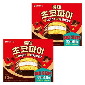 롯데웰푸드 초코파이 12p, 480g, 2개