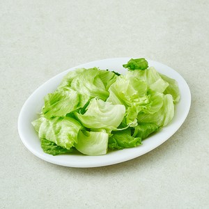 무농약 스마트팜 손질 양상추