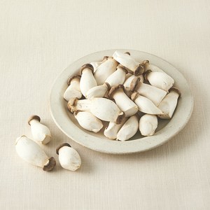 친환경 미니 새송이버섯, 600g, 1개
