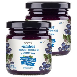 설탕대신 알룰로스 블루베리잼, 240g, 2개
