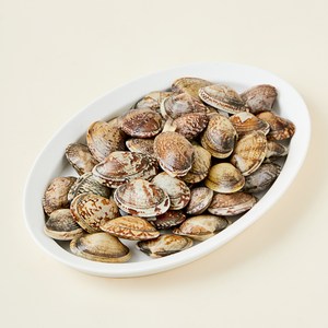 남해안 산지직송 자연산 생물 왕바지락 (냉장), 800g, 1개