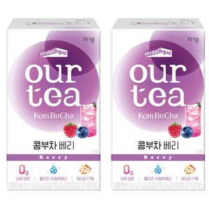 쟈뎅 아워티 콤부차 베리