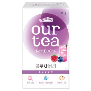 쟈뎅 아워티 콤부차 베리