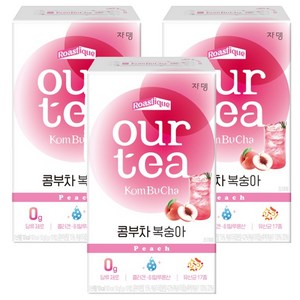 아워티 콤부차 복숭아