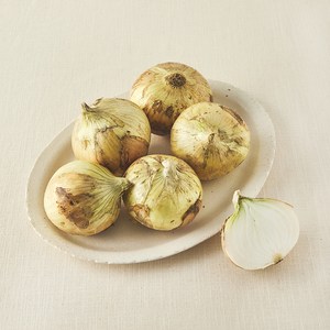국내산 친환경 양파, 1.5kg, 1개
