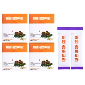 이레약초 홍화씨환 건강환, 84g, 4개