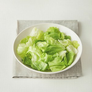 팜에이트 무농약 인증 스마트팜 손질 양상추