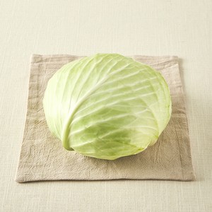 국내산 친환경 양배추, 1통, 1개