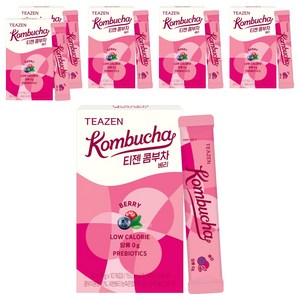 티젠 콤부차 베리