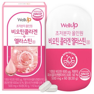 로엘 웰업 초저분자 올인원 비오틴콜라겐 엘라스틴정 30g, 1개, 60정