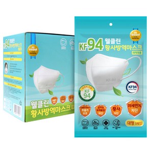 웰클린 황사 방역 마스크 성인용 KF94 대형, 50개입, 1개